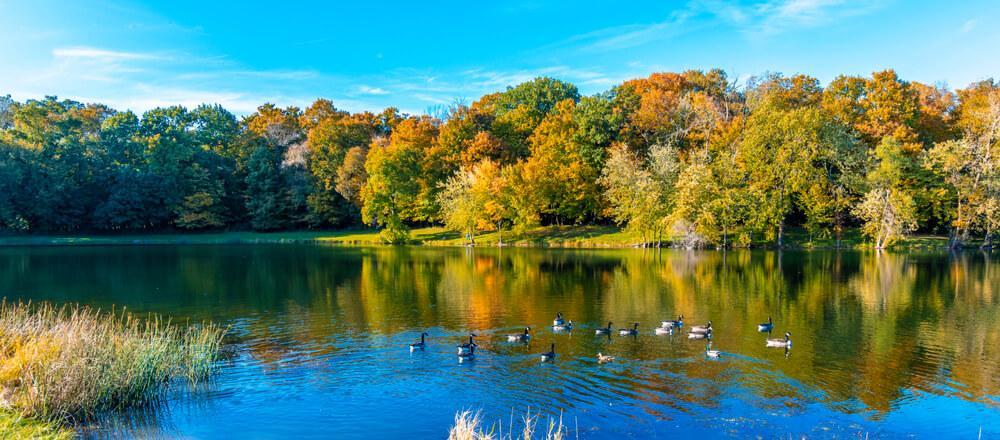 Wheeling Divorce Lawyer